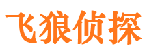 禄劝市私家侦探